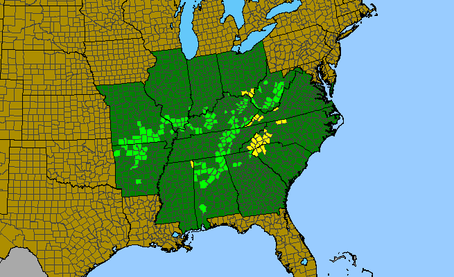 The range of Heuchera parviflora
